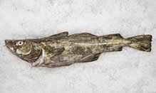 click here to view Fortune Fish Seafood Cod, Atlantic Products