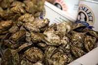 Chicago Seafood and Specialty Show 2012 