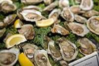 Chicago Seafood and Specialty Show 2012 