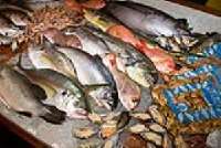 Chicago Seafood and Specialty Show 2012 