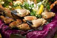 Chicago Seafood and Specialty Show 2012 