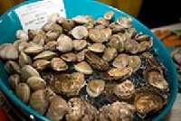 Chicago Seafood and Specialty Show 2012 