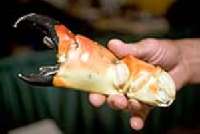 Chicago Seafood and Specialty Show 2012 