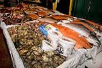 Chicago Seafood and Specialty Show 2012 