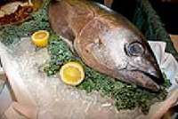 Chicago Seafood and Specialty Show 2012 