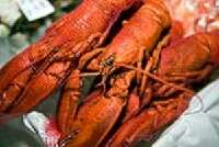 Chicago Seafood and Specialty Show 2012 