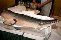 Chicago Seafood and Specialty Show 2012 