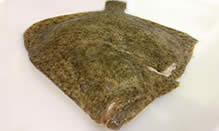 click here to view Fortune Fish Seafood Turbot Products