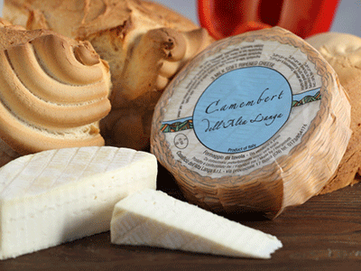 alta-camembert
