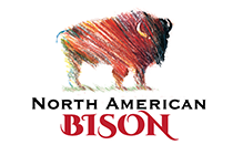 north-american-bison