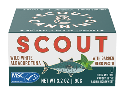 scout-albacore-pesto