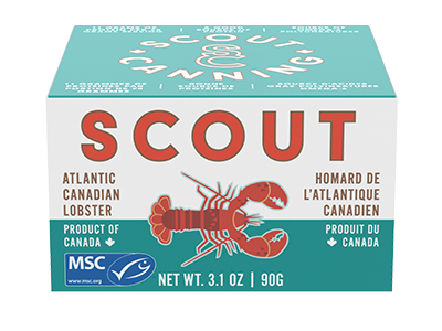 scout-lobster