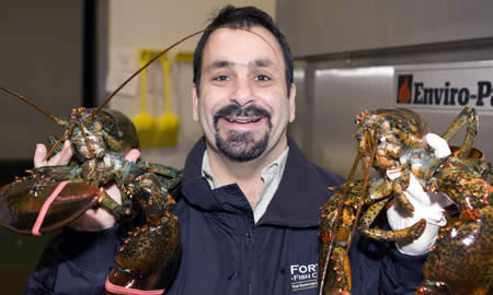 click here to read more about Dominick Gattuso