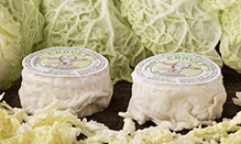 click here to read more about Alta Langa