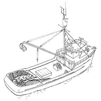 american-seiner