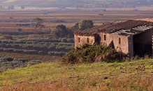 Asaro