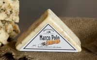 beechermarcopolo