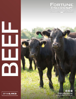 beef-button