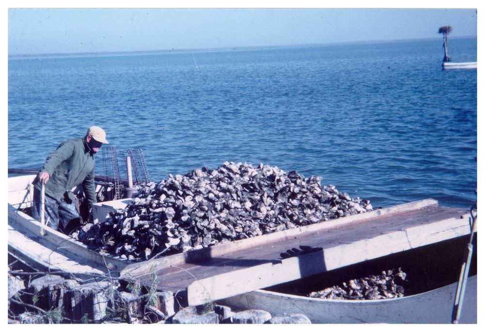 blog1871oysterboat