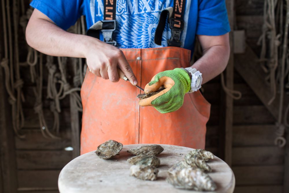 blog1871shuckingoysters