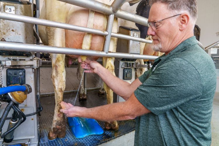 blogcravecow