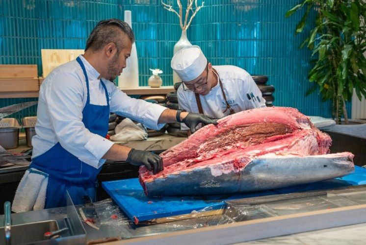 blogmirutunabreakdown