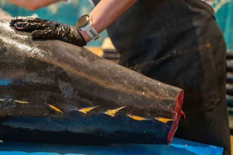 blogmirutunabreakdown2