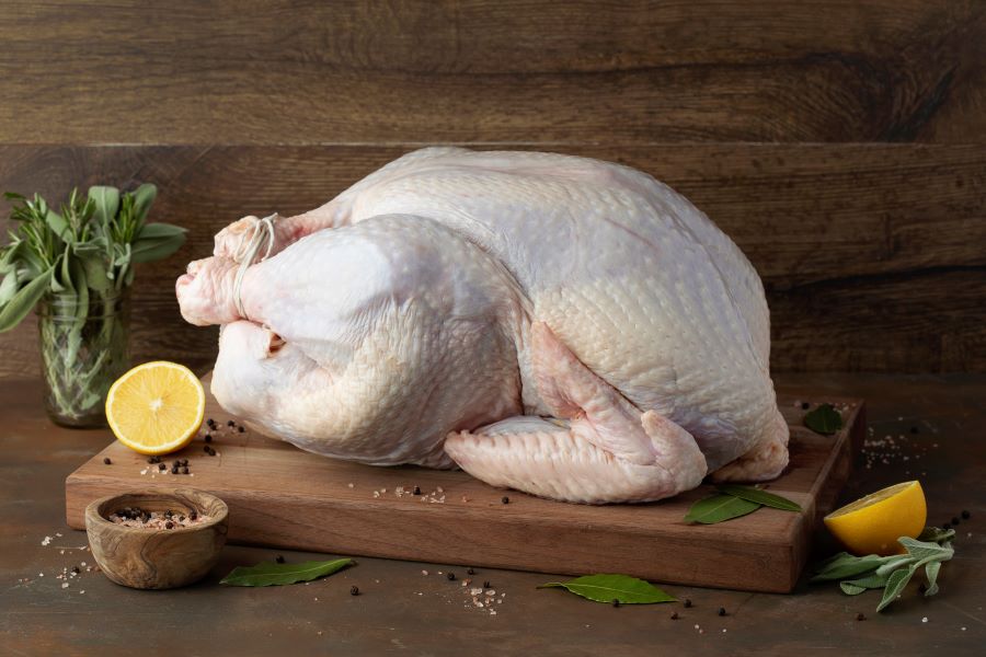 blogorganicturkey