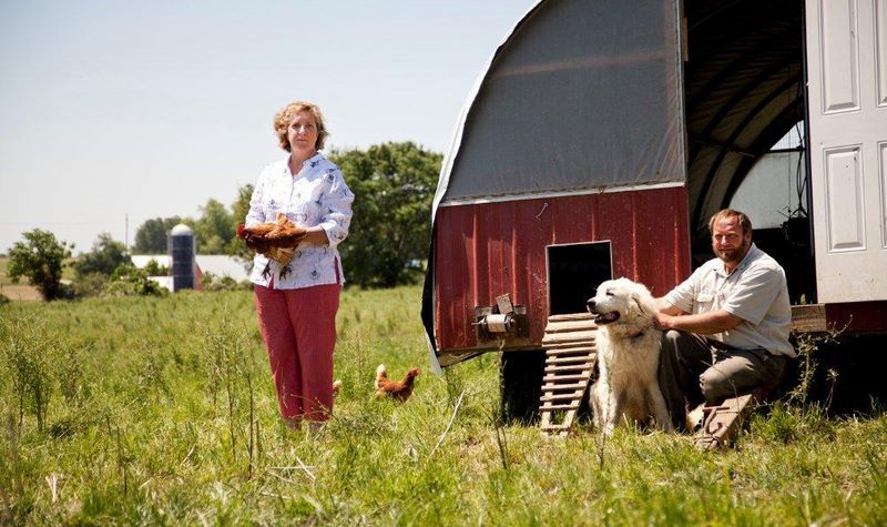 blogsustainabilitygreencirclefarm