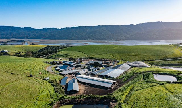 blogsustainabilitypointreyes