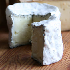 cheese-dirt-lover-1