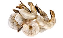 Coastal Shrimp