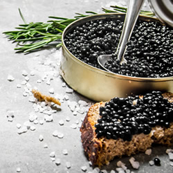 Fortune Fish & Gourmet | Specialty Seafood Products