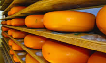 click here to read more about Frisian Farms Cheese