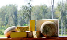 Sweet Grass Dairy Cheese 