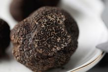 click here to read more about D'Artagnan Mushrooms & Truffles