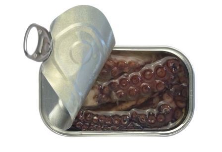 octopus-in-oo-w-garlic-for-web