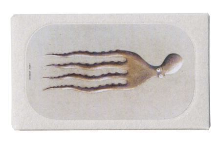 octopus-with-garlic-box-for-web