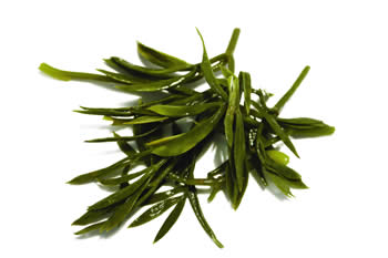 rock-samphire-cluster