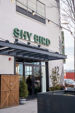 shybirdphoto5