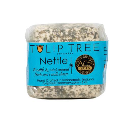 tuliptreenettle
