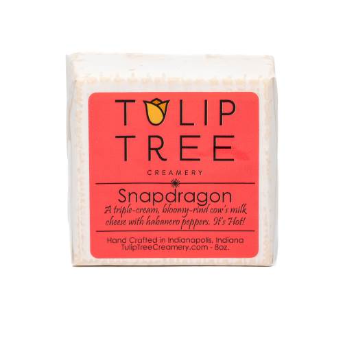 tuliptreesnapdragon