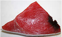 Tuna, Yellowfin